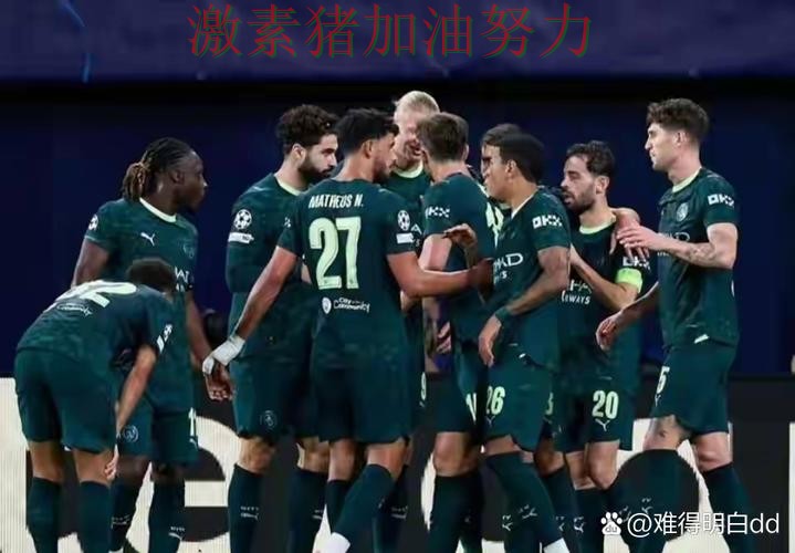 哈兰德赛后发言球队未来方向逐渐清晰 哈兰德赛后发言球队未来方向逐渐清晰